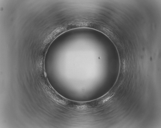 X0000056370309200508261410