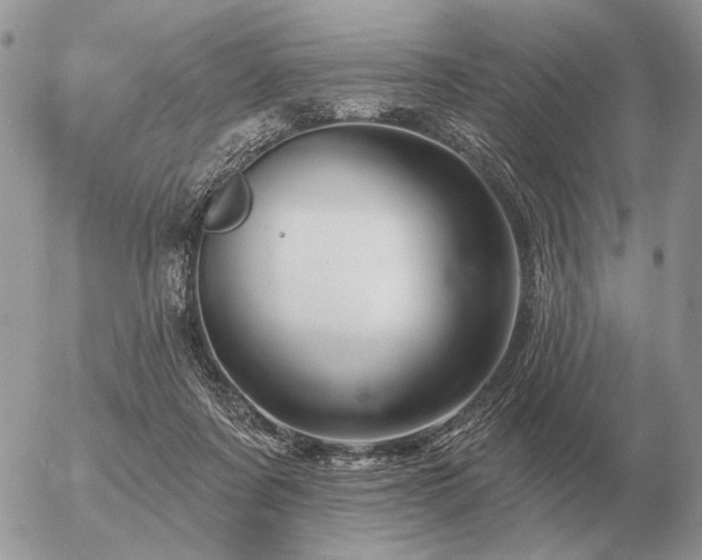 X0000056370311200508261410