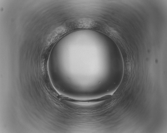 X0000056370312200508261410