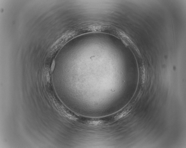 X0000056370313200508261410