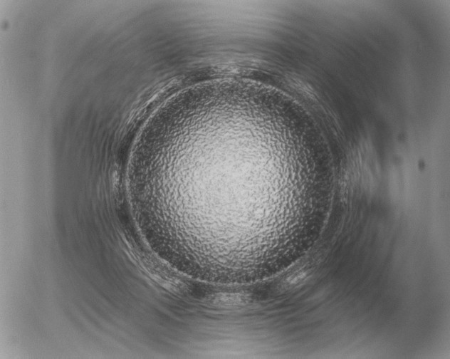 X0000056370314200508261410