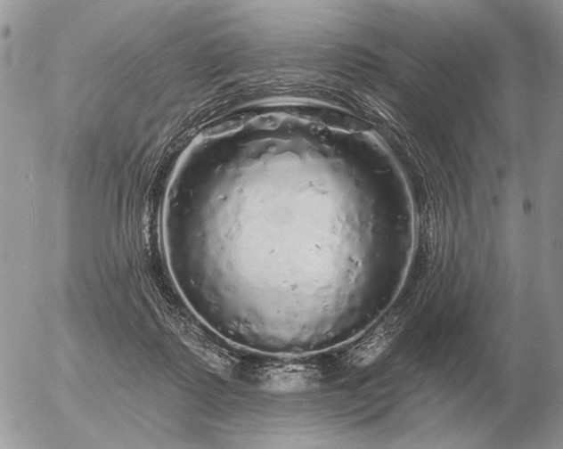 X0000056370315200508261410