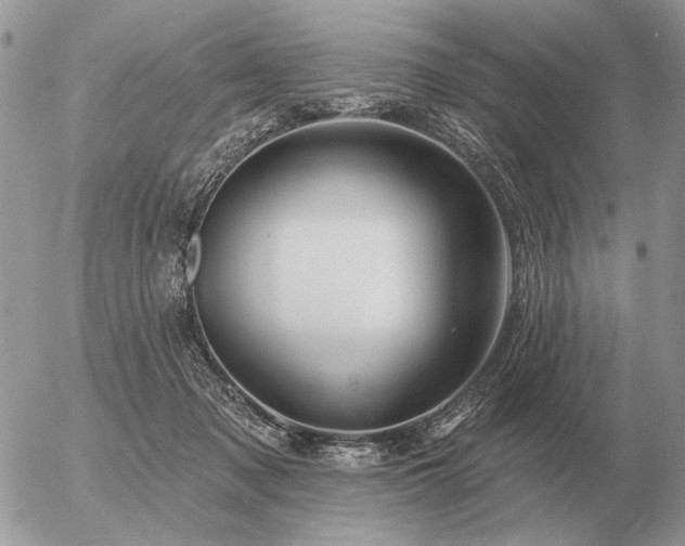 X0000056370317200508261410