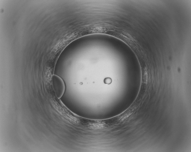 X0000056370318200508261410