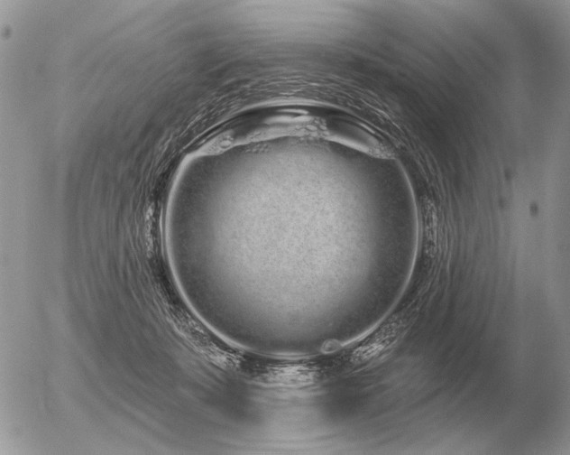 X0000056370319200508261410