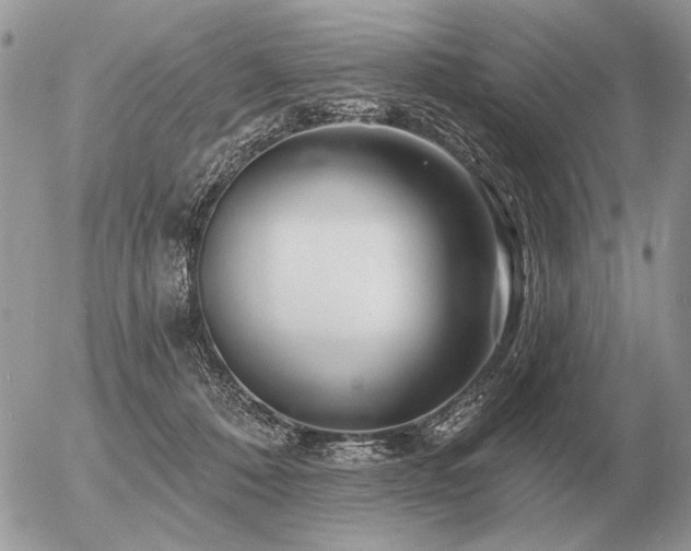 X0000056370320200508261410