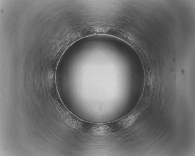 X0000056370321200508261410