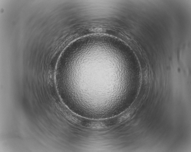 X0000056370322200508261410