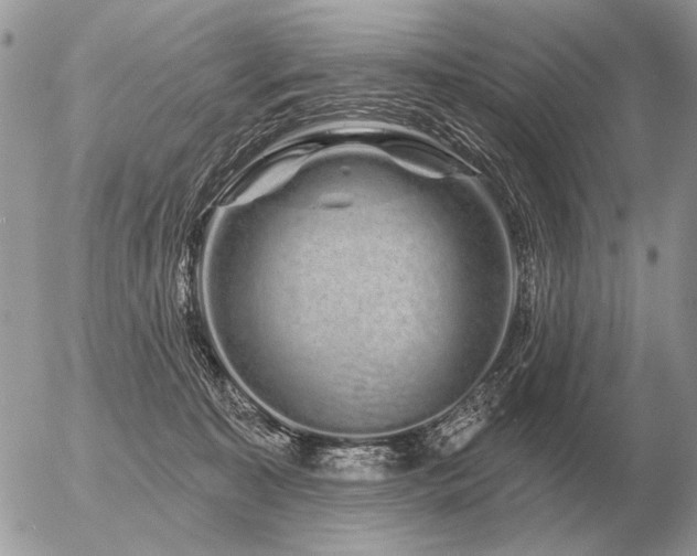 X0000056370323200508261409