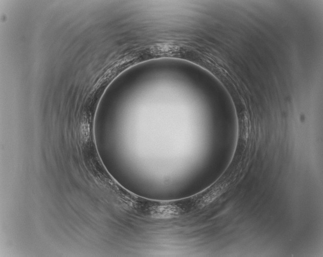 X0000056370324200508261409