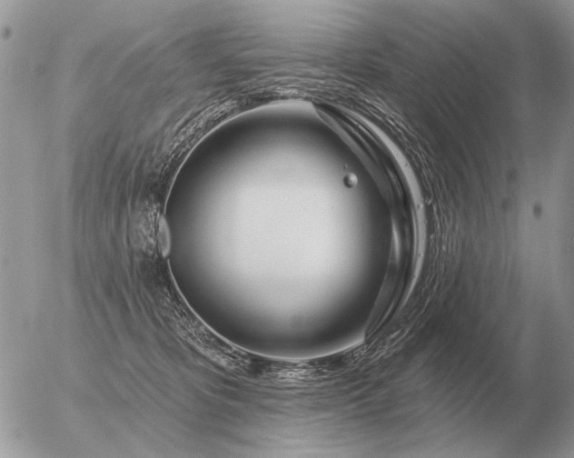 X0000056370325200508261409