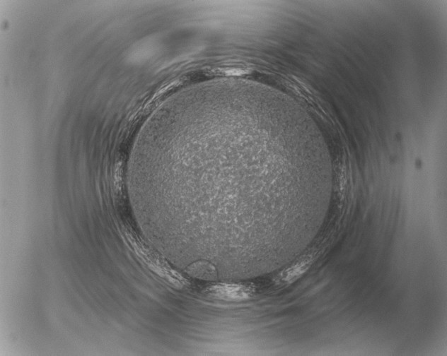 X0000056370326200508261409