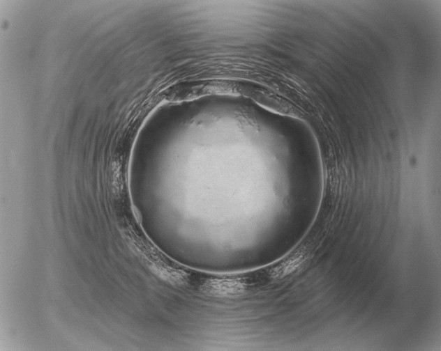 X0000056370327200508261409