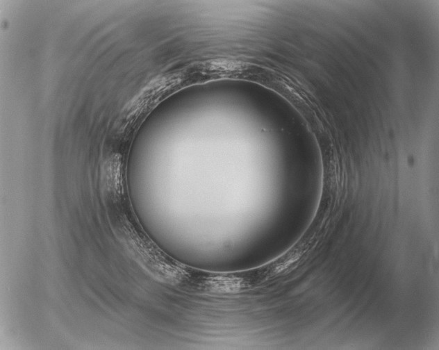 X0000056370328200508261409