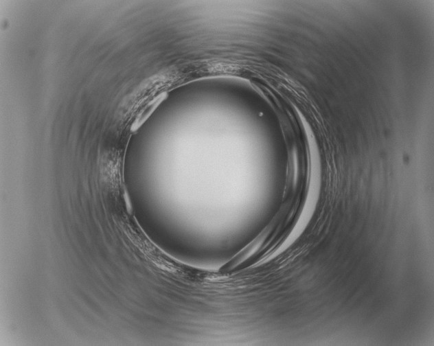 X0000056370329200508261409