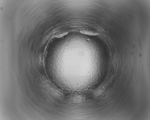 X0000056370330200508261409