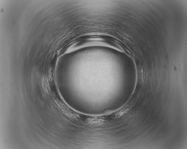 X0000056370331200508261409