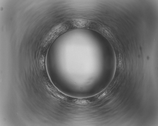 X0000056370332200508261409