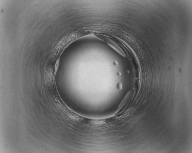 X0000056370333200508261409