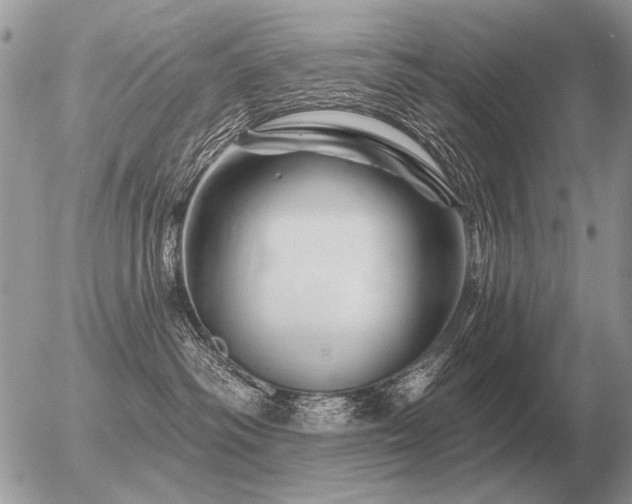 X0000056370334200508261409