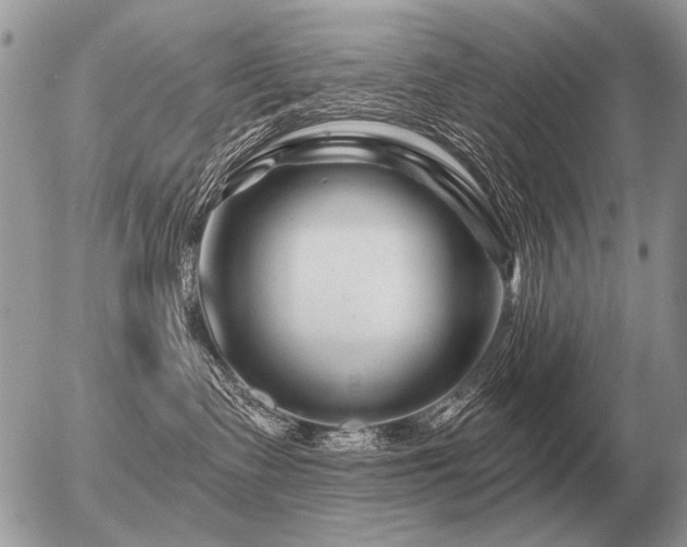 X0000056370335200508261409