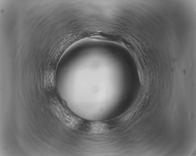 X0000056370336200508261409