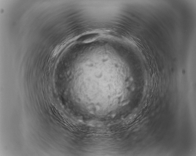 X0000056370337200508261408