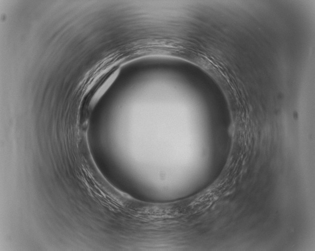 X0000056370338200508261408