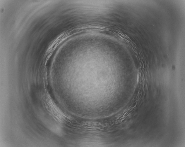 X0000056370339200508261408