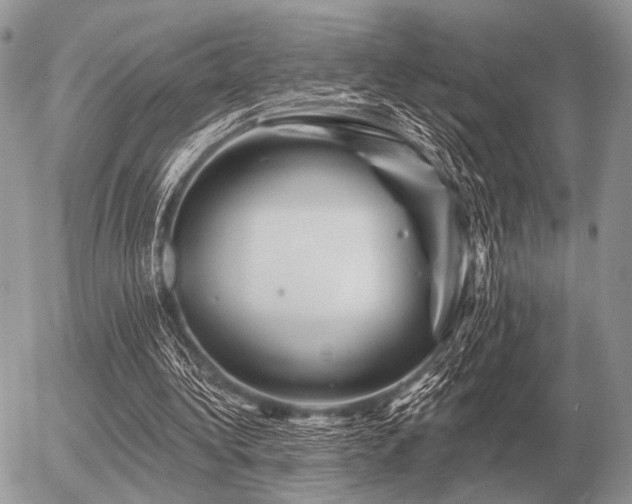 X0000056370340200508261409