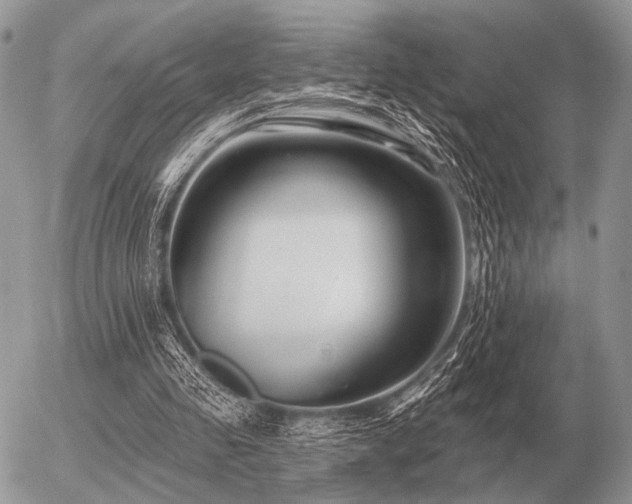 X0000056370341200508261409