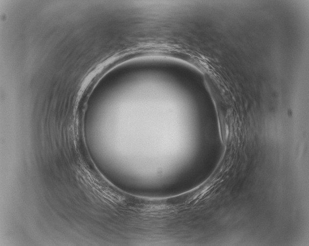 X0000056370342200508261409