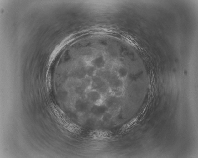 X0000056370343200508261409