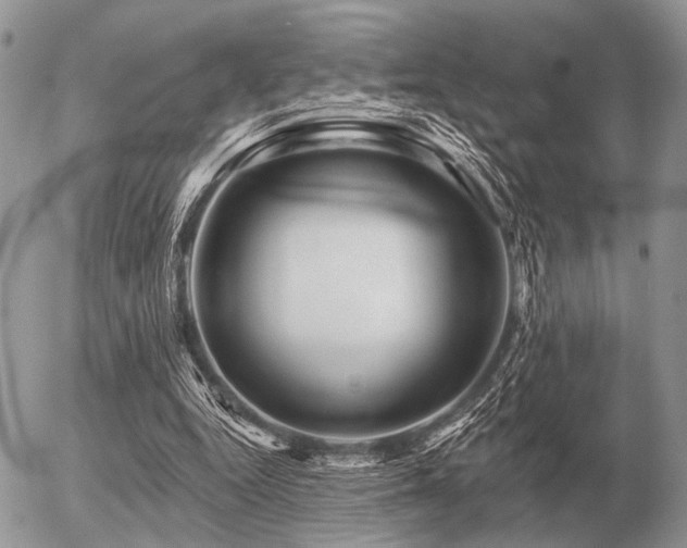 X0000056370344200508261409