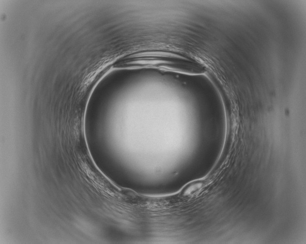 X0000056370345200508261409