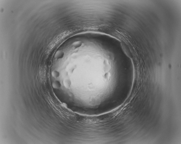 X0000056370346200508261409