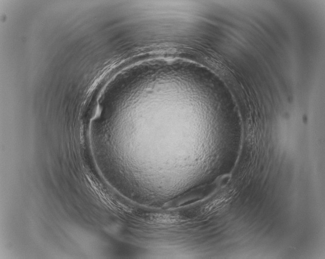 X0000056370347200508261409