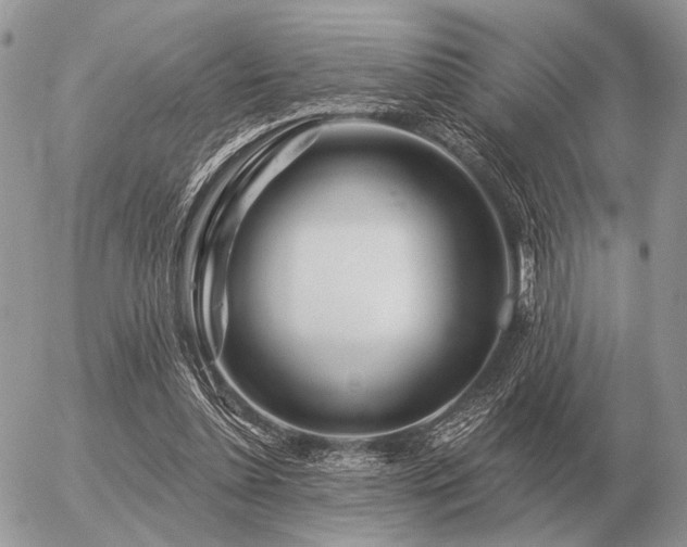 X0000056370348200508261409