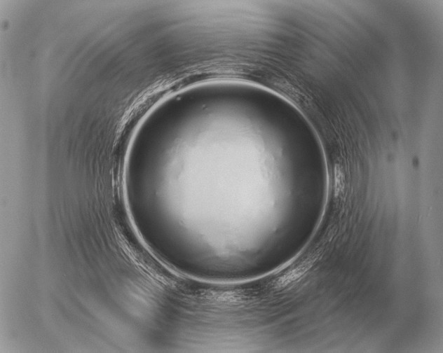 X0000056370349200508261409