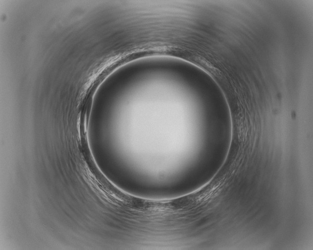 X0000056370350200508261409