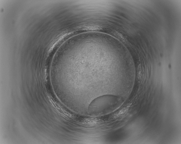 X0000056370351200508261409