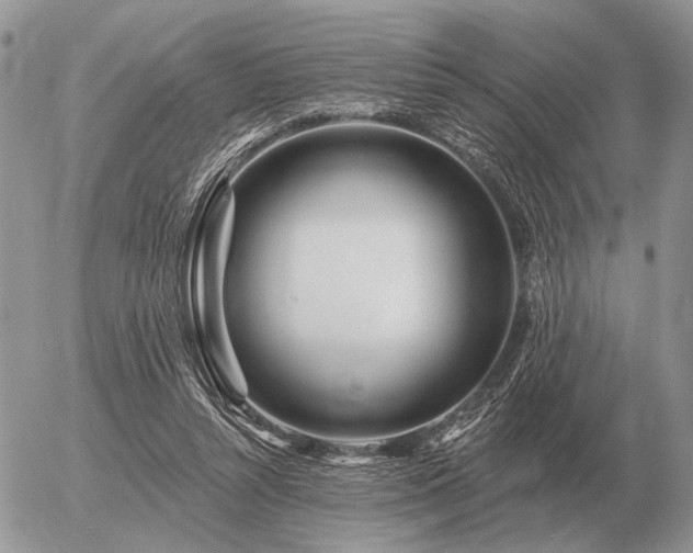 X0000056370352200508261409