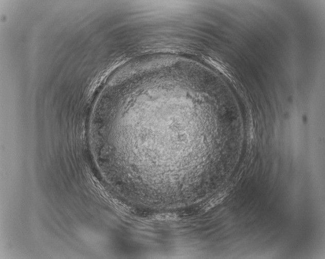 X0000056370353200508261409