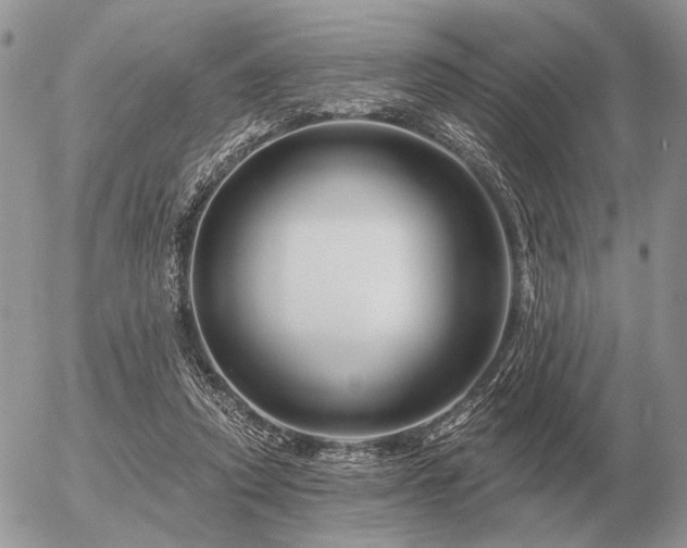 X0000056370354200508261409