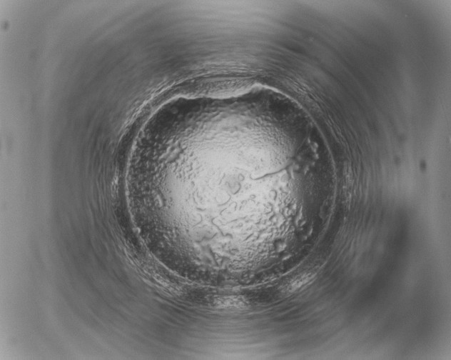 X0000056370355200508261409