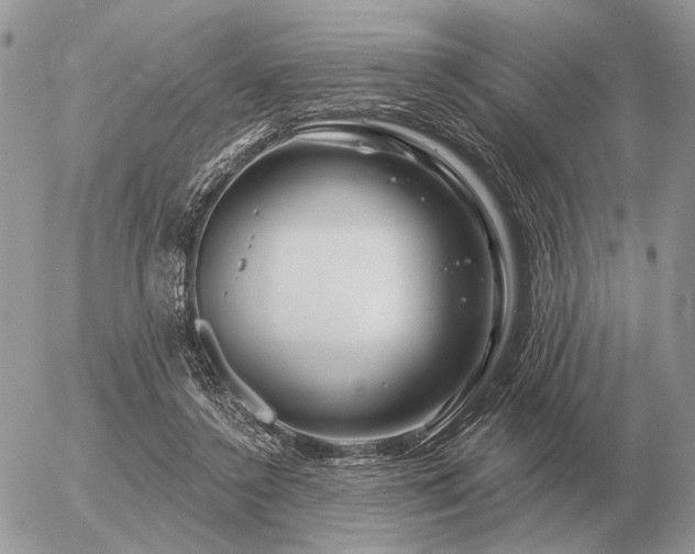 X0000056370356200508261409