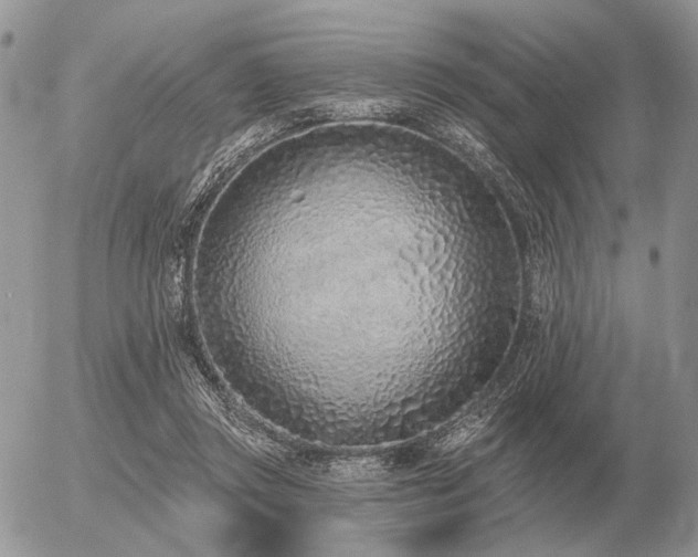 X0000056370357200508261409