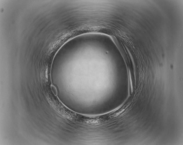 X0000056370358200508261409