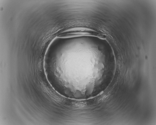 X0000056370359200508261409