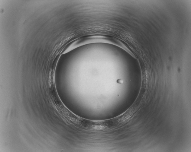 X0000056370360200508261409